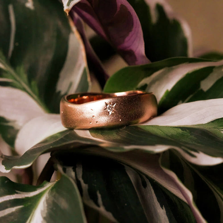 Pippa Jayne Designs