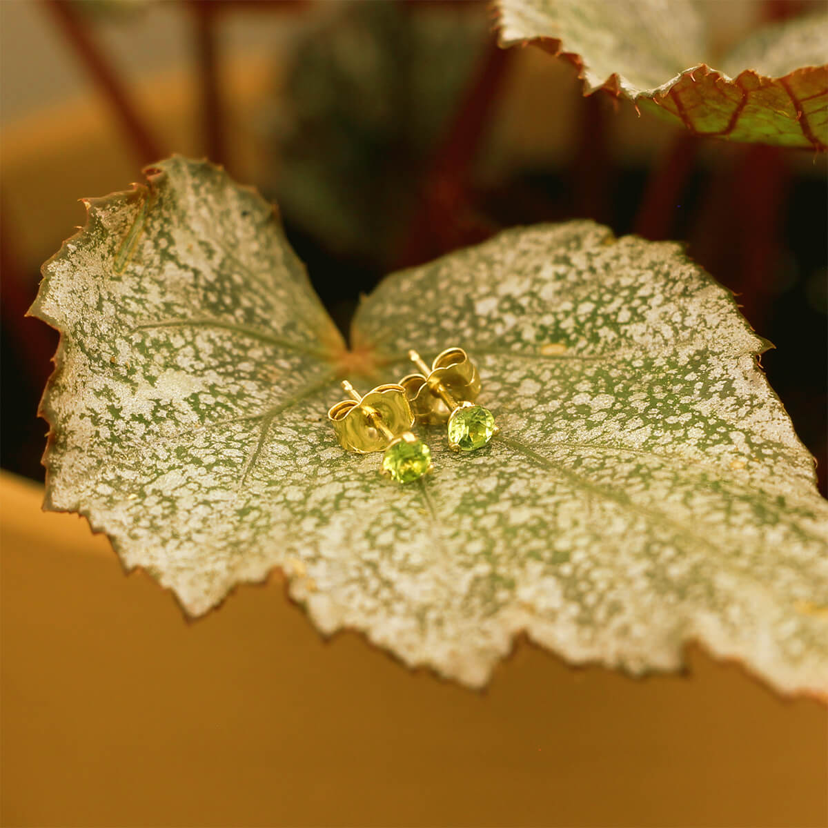 14K Yellow Gold Peridot Martini Studs