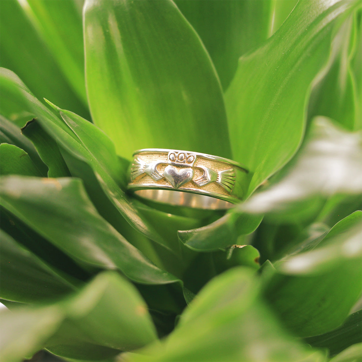 Sterling Silver Claddagh Ring