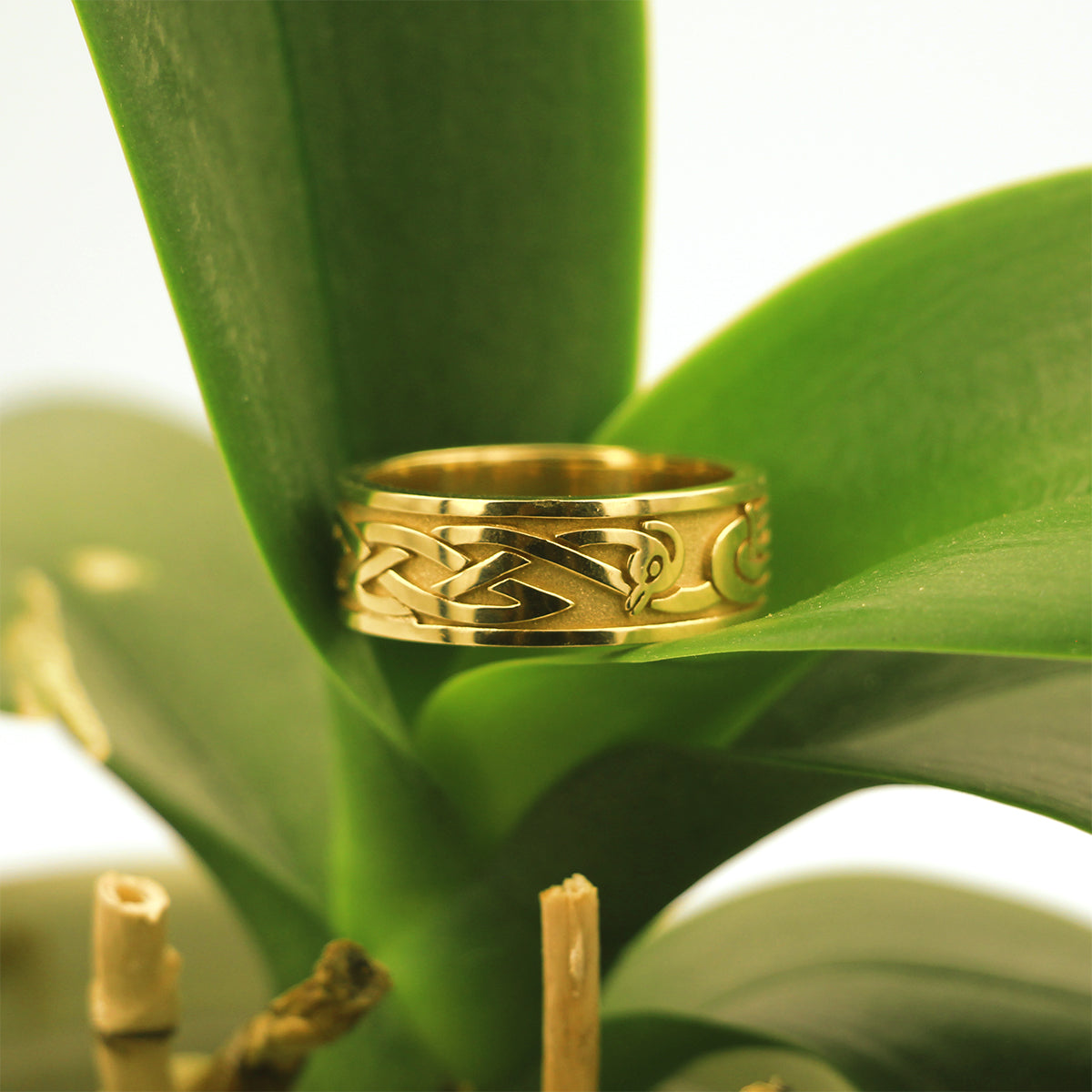 14K Yellow Gold 'Heron' Celtic Knot Band