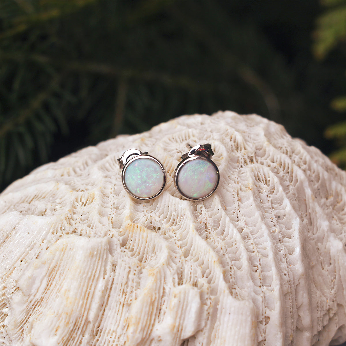 14K White Gold and White Opal Stud Earrings