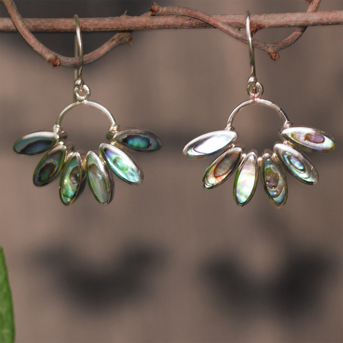 aCleoni Abalone Flower Hook Earrings