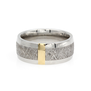 Lashbrook Designs Meteorite, Cobalt Chrome, and Yellow Gold Ring