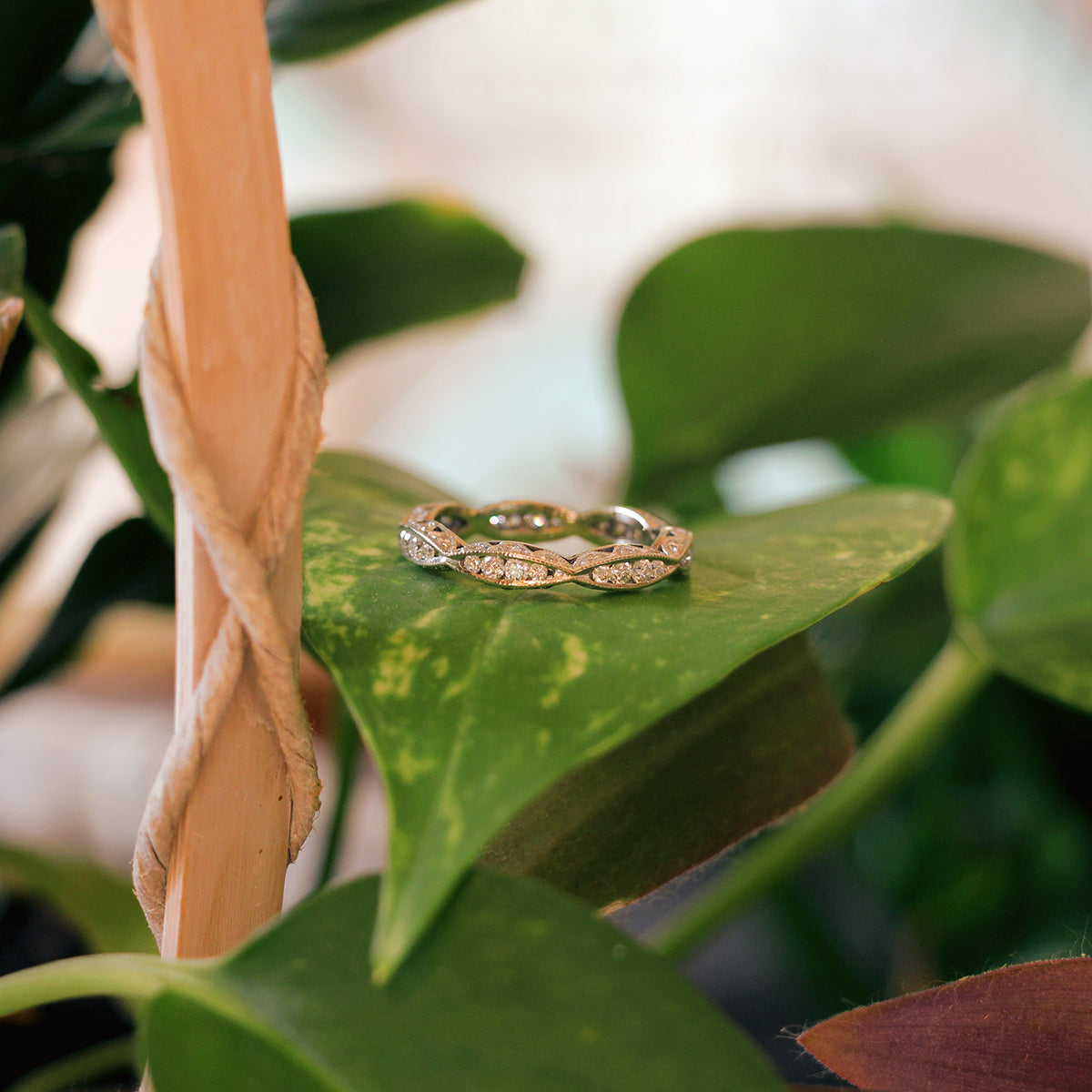 14K White Gold and Diamond Band