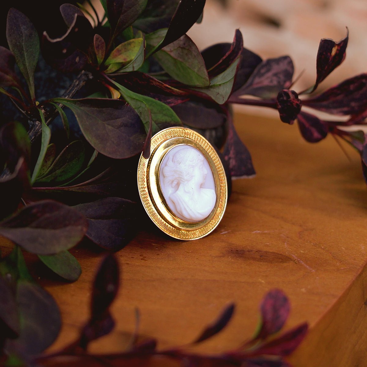 10K Yellow Gold Shell Cameo Pin/Pendant