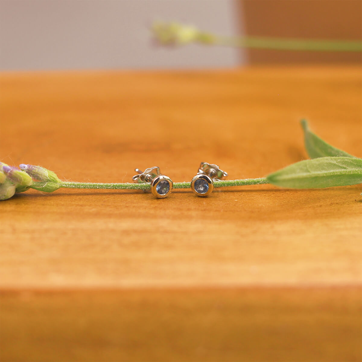 14K White Gold Aquamarine Bezel Martini Stud Earrings