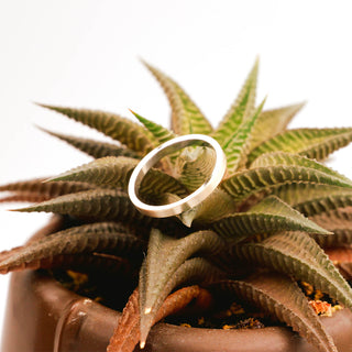 14K White Gold Flat Band