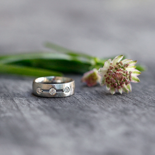 14K White Gold and Diamond Wide Band